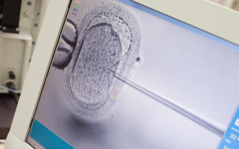 ¿Cuáles son los miedos y dudas más comunes en un tratamiento de ovodonación?